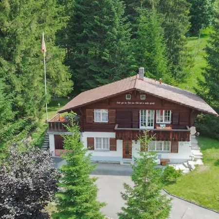 Chalet Spatz Loft With Sauna Kandersteg Oeschinen Lake Lejlighed Kandersteg
