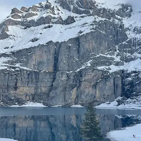 Chalet Spatz Loft With Sauna Kandersteg Oeschinen Lake Lejlighed Kandersteg