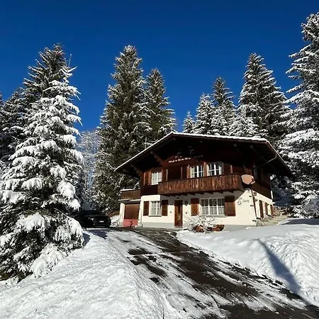 Chalet Spatz Loft With Sauna Kandersteg Oeschinen Lake דירה