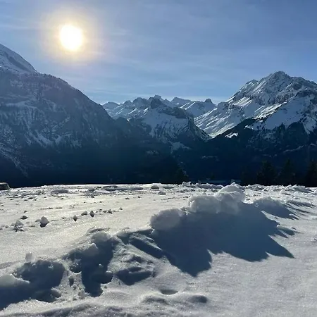 Chalet Spatz Loft With Sauna Kandersteg Oeschinen Lake דירה *