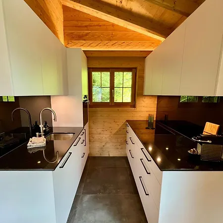 Chalet Spatz Loft With Sauna Kandersteg Oeschinen Lake