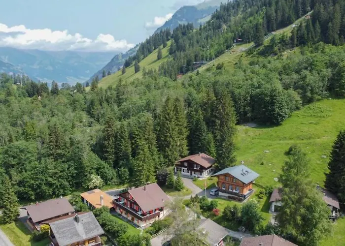 Chalet Spatz Loft With Sauna Kandersteg Oeschinen Lake