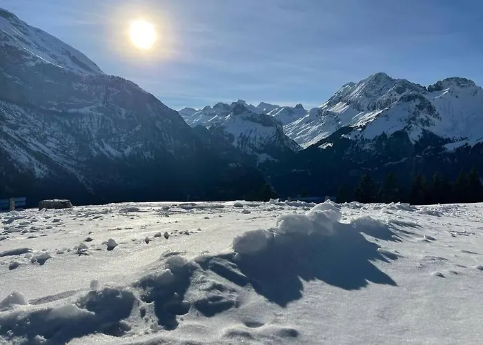 Chalet Spatz Loft With Sauna Kandersteg Oeschinen Lake 아파트 *