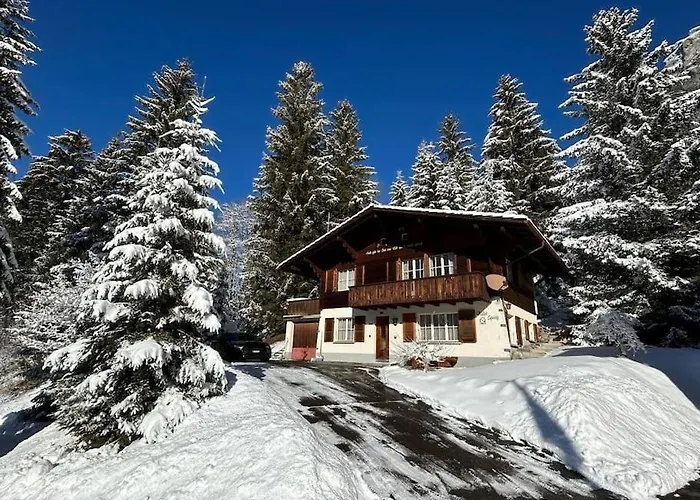 Chalet Spatz Loft With Sauna Kandersteg Oeschinen Lake Lägenhet