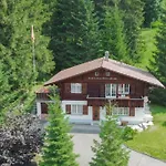Chalet Spatz Loft With Sauna Kandersteg Oeschinen Lake アパート カンデルシュテッグ